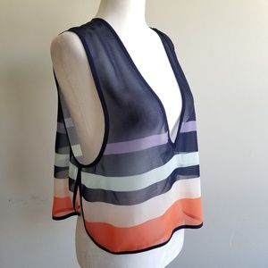 Ted Baker London Colorblock Sheer Crop Top